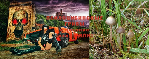 мескалин Алексеевка