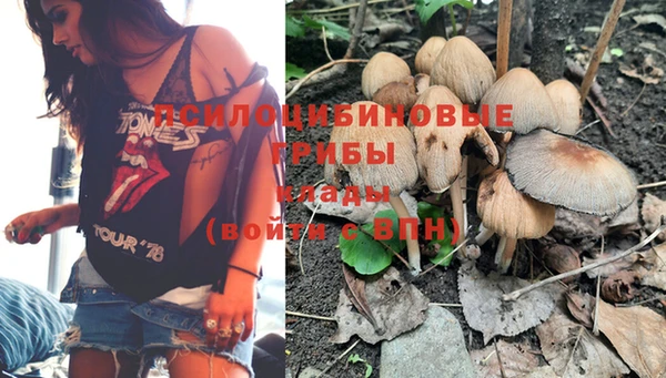 ПСИЛОЦИБИНОВЫЕ ГРИБЫ Абдулино