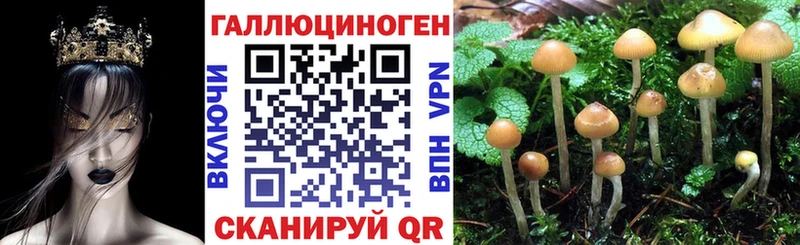 Псилоцибиновые грибы ЛСД  Ливны 